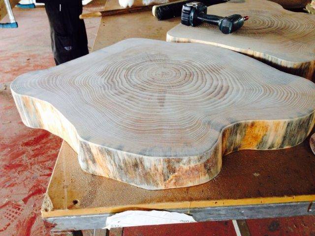 IMG-20131205-WA0000 עצים להגשמת פרויקט החלומות שלך בלוג מחסן עצים סוגי עצים  IMG-20131205-WA0000 עצים להגשמת פרויקט החלומות שלך