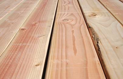 etsim_duglas_fir-300x193 סוגי עצים  etsim_duglas_fir-300x193 סוגי עצים