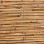 bamboo16L-1-150x150 במבוק מושחל לגינה בלוג במבוק מאמרים בנושא פרגולות  bamboo16L-1-150x150 במבוק מושחל לגינה
