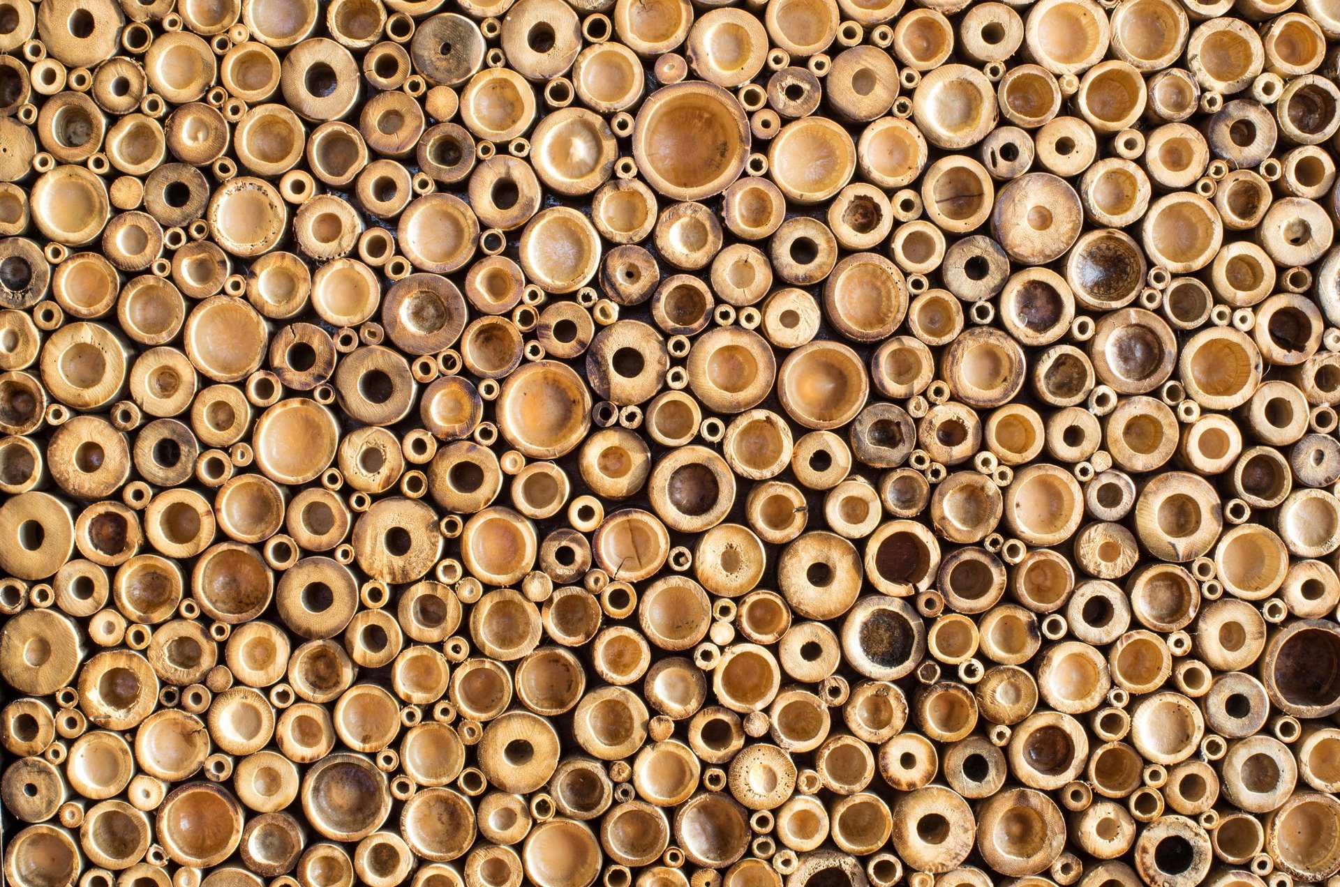 shutterstock_134225897-scaled במבוקים  shutterstock_134225897-scaled במבוקים