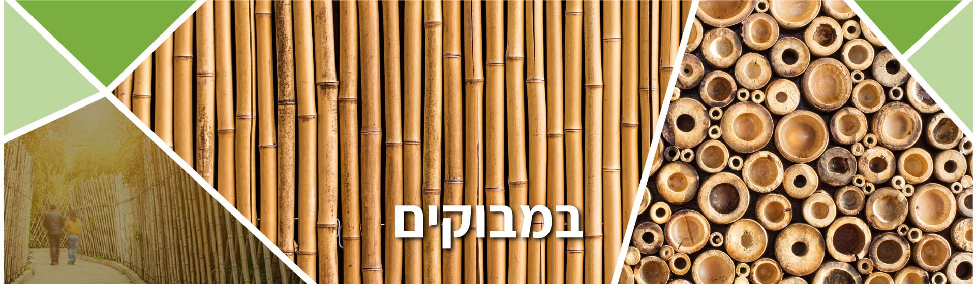 Banner1920-560bambuk במבוקים  Banner1920-560bambuk במבוקים