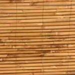 bamboo8L-1-150x150 במבוק מושחל לגינה בלוג במבוק מאמרים בנושא פרגולות  bamboo8L-1-150x150 במבוק מושחל לגינה