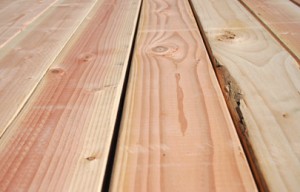 etsim_duglas_fir-300x192 דק איפאה – שאלות נפוצות בלוג מאמרים בנושא דקים  etsim_duglas_fir-300x192 דק איפאה – שאלות נפוצות