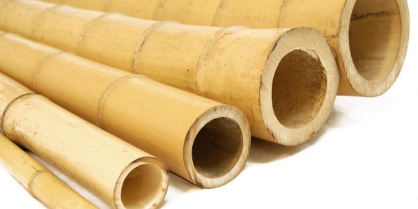 bamboo-poles-natural-side-600x300 מעצבים גינה יפה לקיץ בלוג  bamboo-poles-natural-side-600x300 מעצבים גינה יפה לקיץ