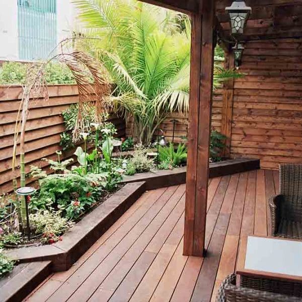 עץ-אורן-24-150x150 מהם דקים? מאמרים מאמרים בנושא דקים עץ-אורן-24-150x150 מהם דקים?