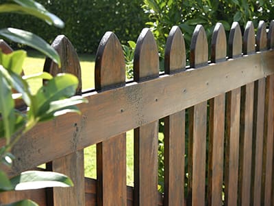 gader מהפכה בעולם העץ - קניה ישירה מהיבואן אל הצרכן  gader מהפכה בעולם העץ - קניה ישירה מהיבואן אל הצרכן