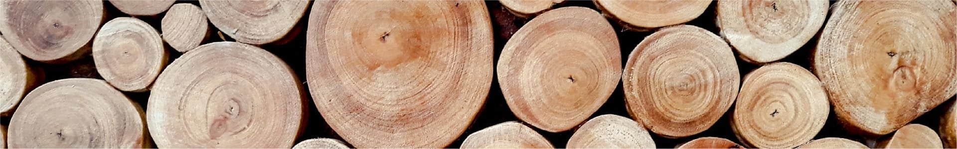 Asset-28 עצים להסקה  Asset-28 עצים להסקה