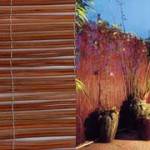 bamboo6L-150x150 במבוק מושחל לגינה בלוג במבוק מאמרים בנושא פרגולות  bamboo6L-150x150 במבוק מושחל לגינה