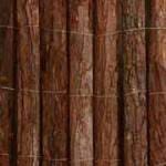 bamboo12L-150x150 במבוק מושחל לגינה בלוג במבוק מאמרים בנושא פרגולות  bamboo12L-150x150 במבוק מושחל לגינה