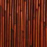 bamboo9L-150x150 במבוק מושחל לגינה בלוג במבוק מאמרים בנושא פרגולות  bamboo9L-150x150 במבוק מושחל לגינה