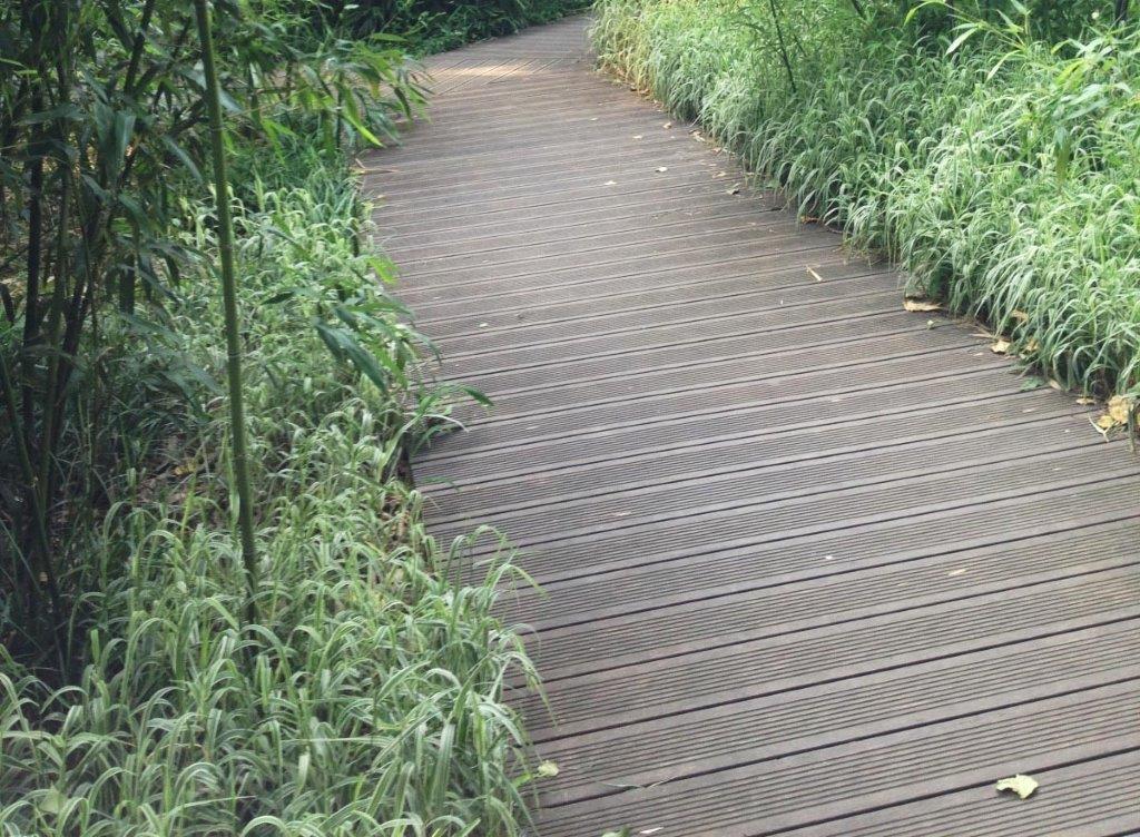 gal_10_220-408x300 התקנת דק במבוק בלוג דק במבוק  gal_10_220-408x300 התקנת דק במבוק