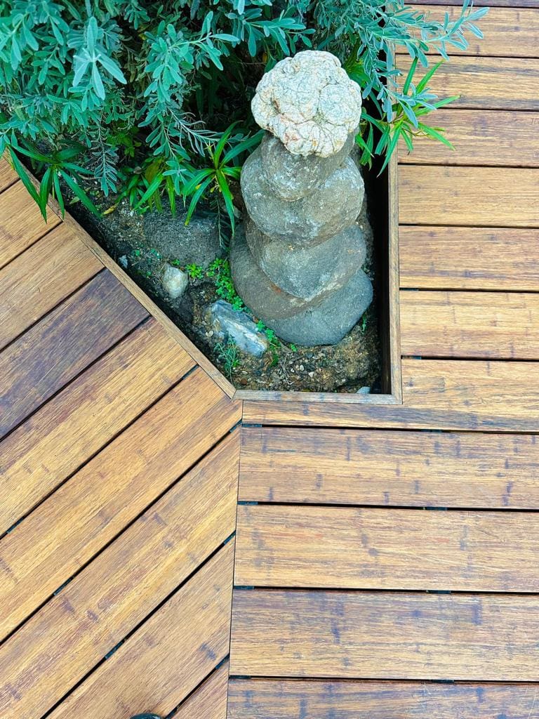 WhatsApp-Image-2023-12-11-at-11.21.18-2 דק במבוק  WhatsApp-Image-2023-12-11-at-11.21.18-2 דק במבוק