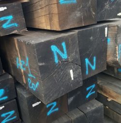 IMG-20150514-WA0004-250x253 עץ אלון צרפתי גושני  IMG-20150514-WA0004-250x253 עץ אלון צרפתי גושני