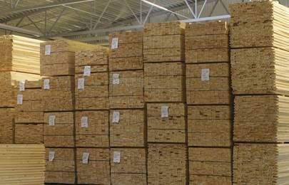 etsim_oren-300x192 סוגי עצים  etsim_oren-300x192 סוגי עצים