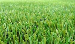 דשא-סינטטי-250x148 דקים קונים מהיבואן לצרכן  דשא-סינטטי-250x148 דקים קונים מהיבואן לצרכן