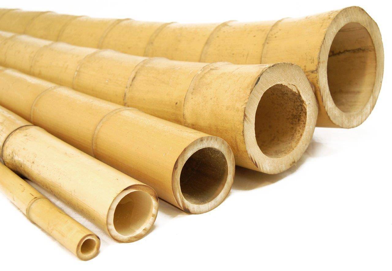 bamboo-poles-natural-side-1024x709 במבוק למרפסת בלוג  bamboo-poles-natural-side-1024x709 במבוק למרפסת