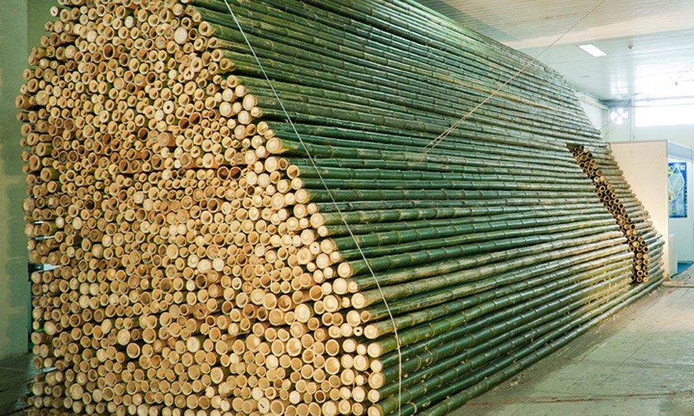 3-Copy במבוק מושחל במבצע מיוחד! במבוק חדשות  3-Copy במבוק מושחל במבצע מיוחד!