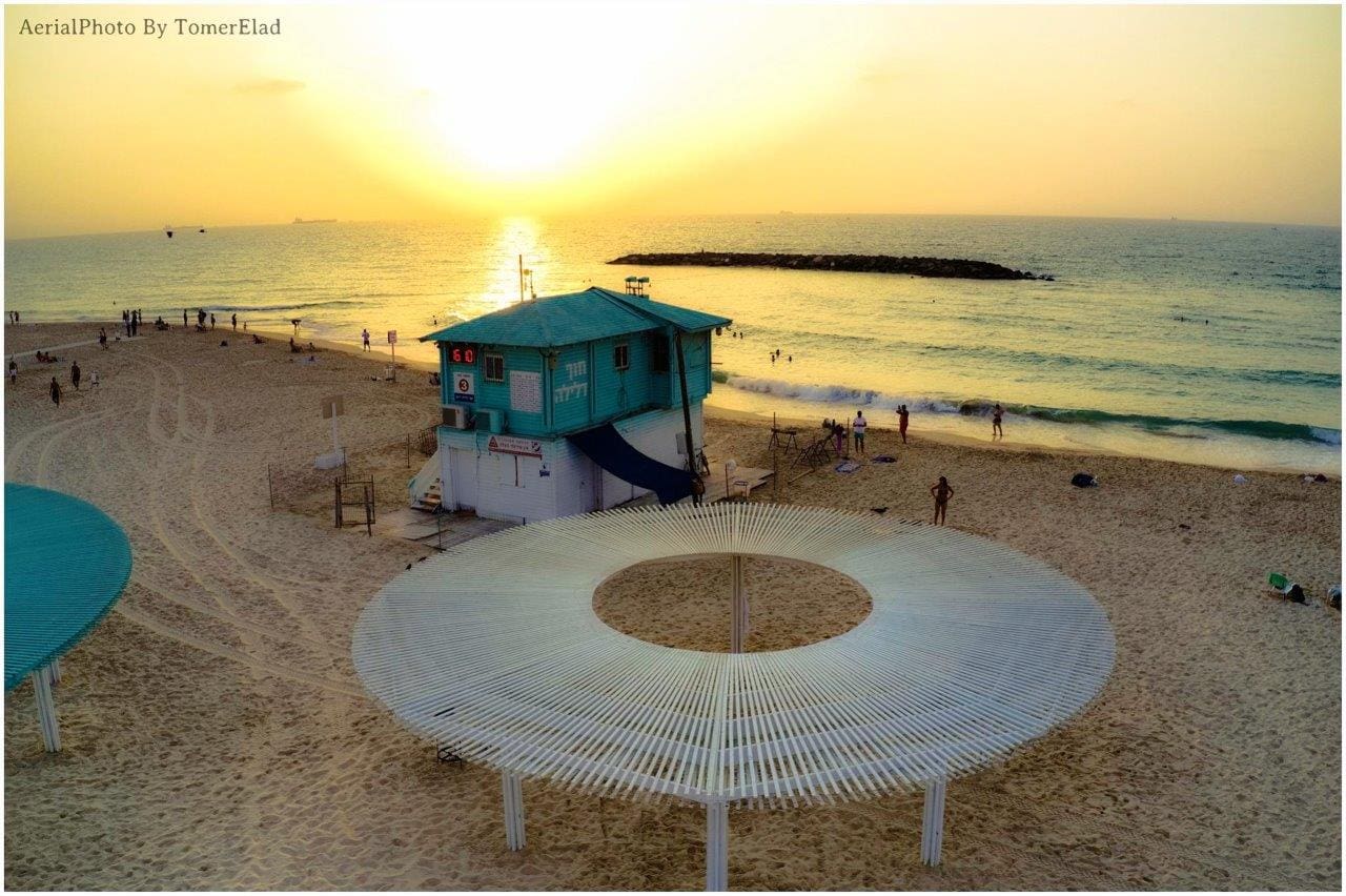 PHOTO-2021-08-22-13-23-422-768x511 מחסן עצים הגדול בישראל חדש  PHOTO-2021-08-22-13-23-422-768x511 מחסן עצים הגדול בישראל חדש