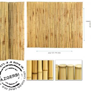 30X352-300x300 במבוק לסוכה בלוג במבוק  30X352-300x300 במבוק לסוכה