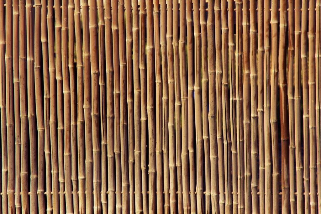 bamboo-fence-texture מה אפשר לעשות עם מוטות במבוק? בלוג במבוק גדרות גדרות במבוק  bamboo-fence-texture מה אפשר לעשות עם מוטות במבוק?