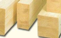 etz_gluelam_ravshihvati_4 סוגי עצים  etz_gluelam_ravshihvati_4 סוגי עצים