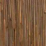 bamboo11L-1-150x150 במבוק מושחל לגינה בלוג במבוק מאמרים בנושא פרגולות  bamboo11L-1-150x150 במבוק מושחל לגינה