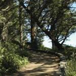 etz_gushani_2-150x150 עצים קשים – קונים רק אצל א.צ. ג'רבי!  etz_gushani_2-150x150 עצים קשים – קונים רק אצל א.צ. ג'רבי!