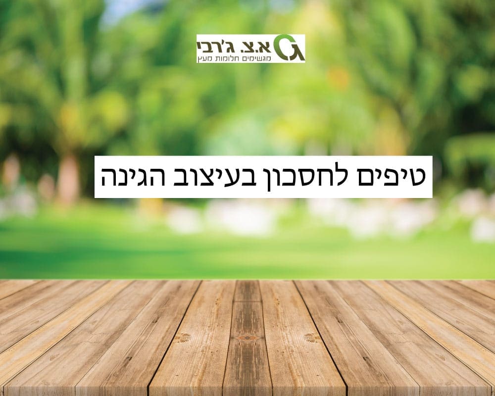 Untitled-2 3 טיפים לחסכון בעיצוב הגינה דק אורן כללי מאמרים בנושא דשא סינטטי מאמרים בנושא פרגולות  Untitled-2 3 טיפים לחסכון בעיצוב הגינה