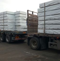 IMG-20150514-WA0006-250x253 עץ אלון צרפתי גושני  IMG-20150514-WA0006-250x253 עץ אלון צרפתי גושני