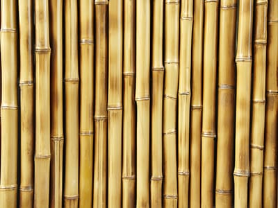 bambook מהפכה בעולם העץ - קניה ישירה מהיבואן אל הצרכן  bambook מהפכה בעולם העץ - קניה ישירה מהיבואן אל הצרכן