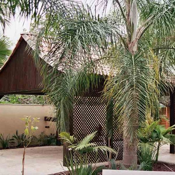 עץ-אורן-51-150x150 דקים מעץ | הבלוג של א.צ ג'רבי בלוג מאמרים בנושא דקים עץ-אורן-51-150x150 דקים מעץ | הבלוג של א.צ ג'רבי