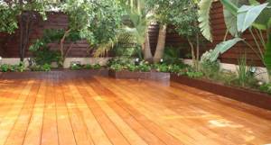 dekim דקים קונים מהיבואן לצרכן  dekim דקים קונים מהיבואן לצרכן