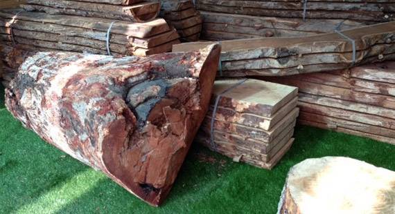 Untitled-2 כל סוגי העצים לבניית פרגולה מאמרים בנושא פרגולות מחסן עצים סוגי עצים  Untitled-2 כל סוגי העצים לבניית פרגולה