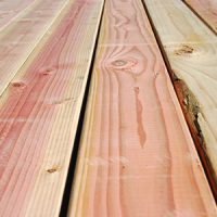 oren-200x200 A.Z GERBI  oren-200x200 A.Z GERBI