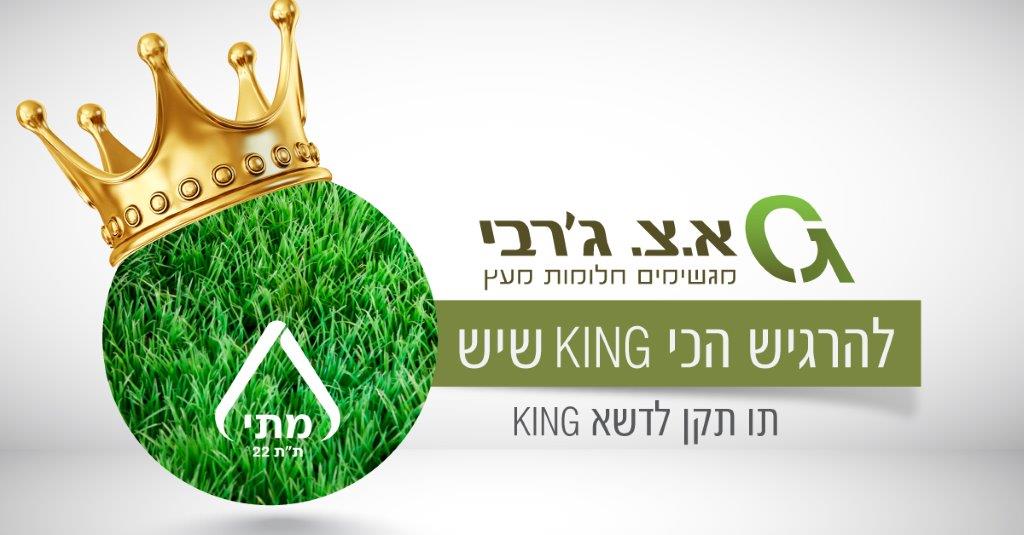 דשא סינטטי מסדרת KING דשא סינטטי מסדרת KING
