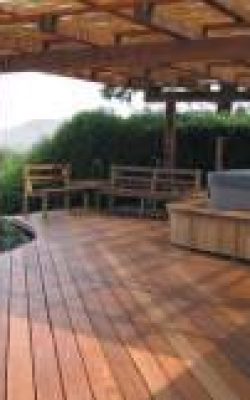 pergylot-250x400 טיפים לשמירה על הדק בחורף מאמרים מאמרים בנושא דקים  pergylot-250x400 טיפים לשמירה על הדק בחורף