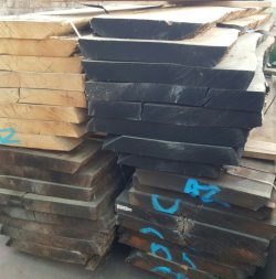 IMG-20150514-WA0009-250x253 עץ אלון צרפתי גושני  IMG-20150514-WA0009-250x253 עץ אלון צרפתי גושני