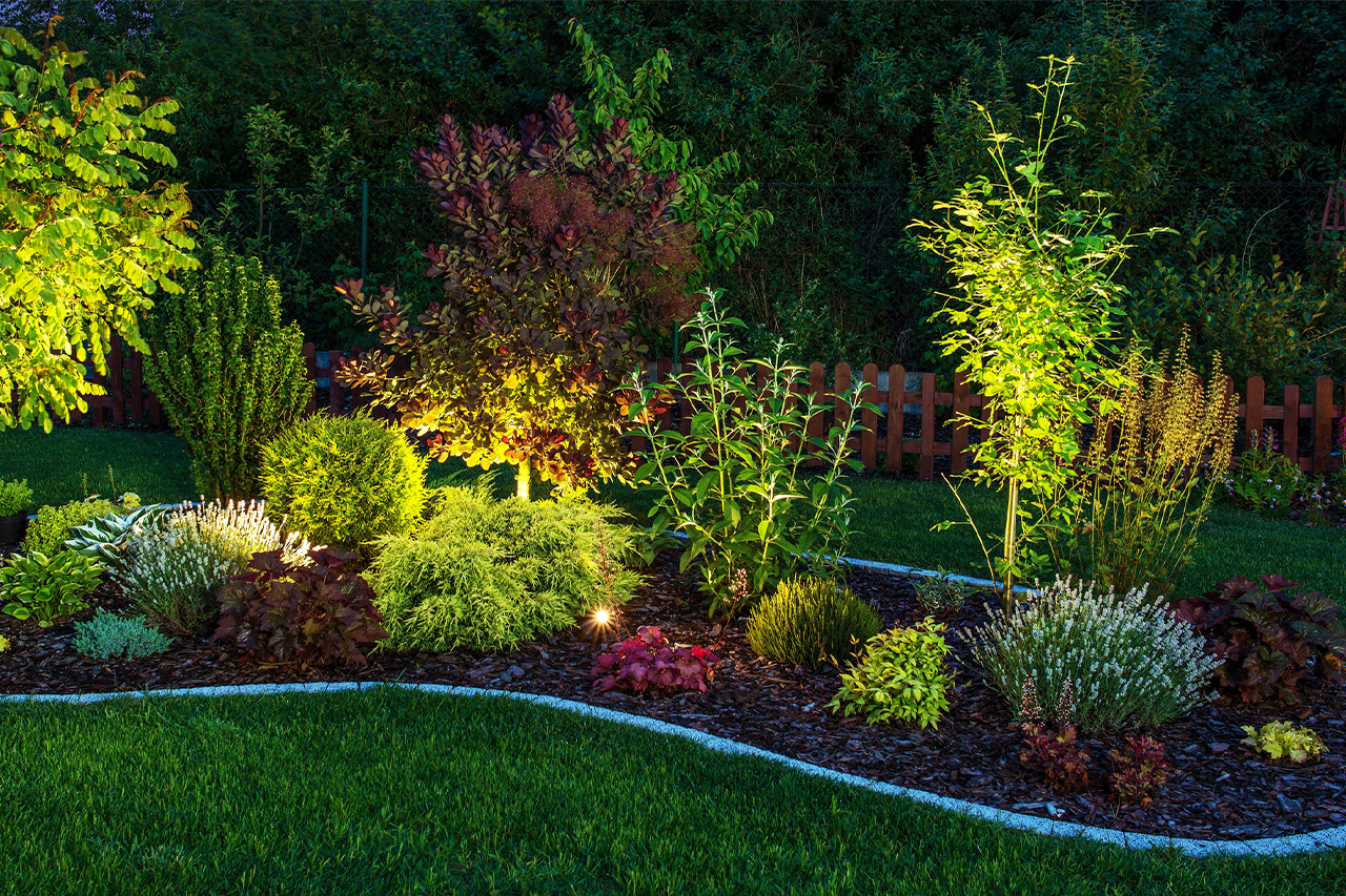 Expert Landscaping -  img-6