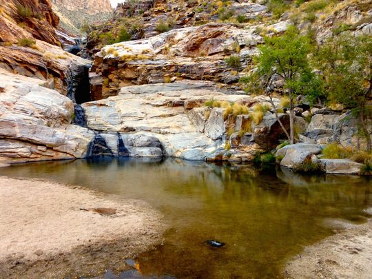 Sabino Canyon just outside Tucson sabino canyon just outside tucson, sabino canyon just outside tucson