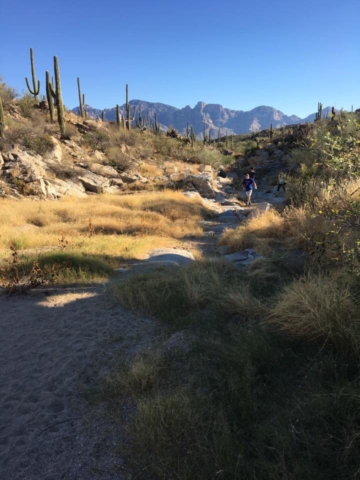 Honey Bee Canyon Park Oro Valley AZ