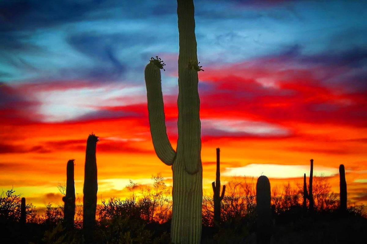 Arizona sunset in Tucson arizona sunset in tucson, arizona sunset in tucson