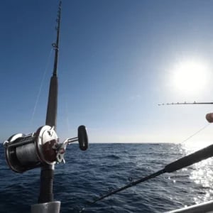 fishing-rod-reel-on-charter-600nw-738525631