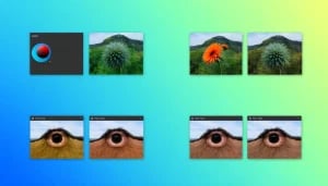 Lire la suite à propos de l’article Top 10 des Meilleurs Logiciels Photo Gratuits à Découvrir