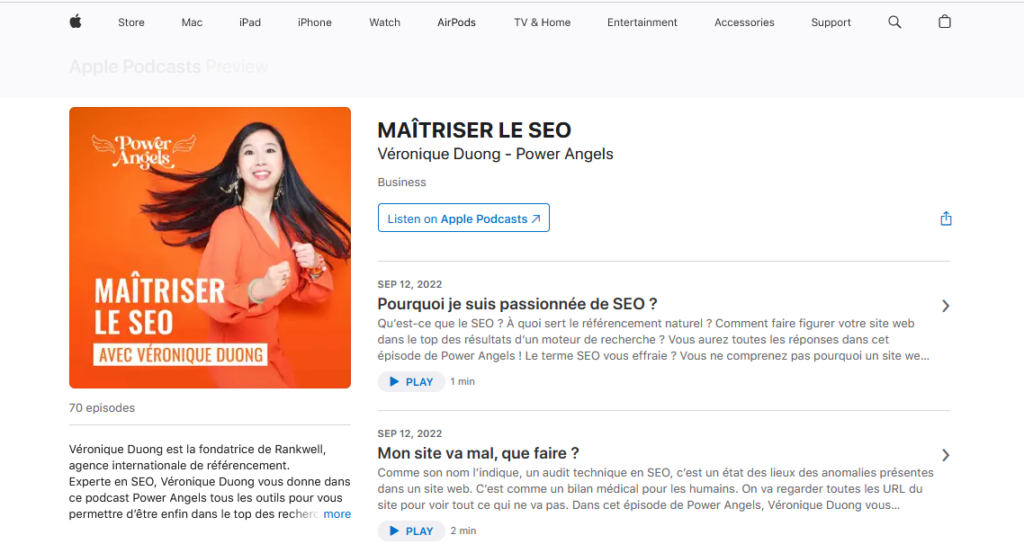 Maîtriser le SEO par Véronique Duong