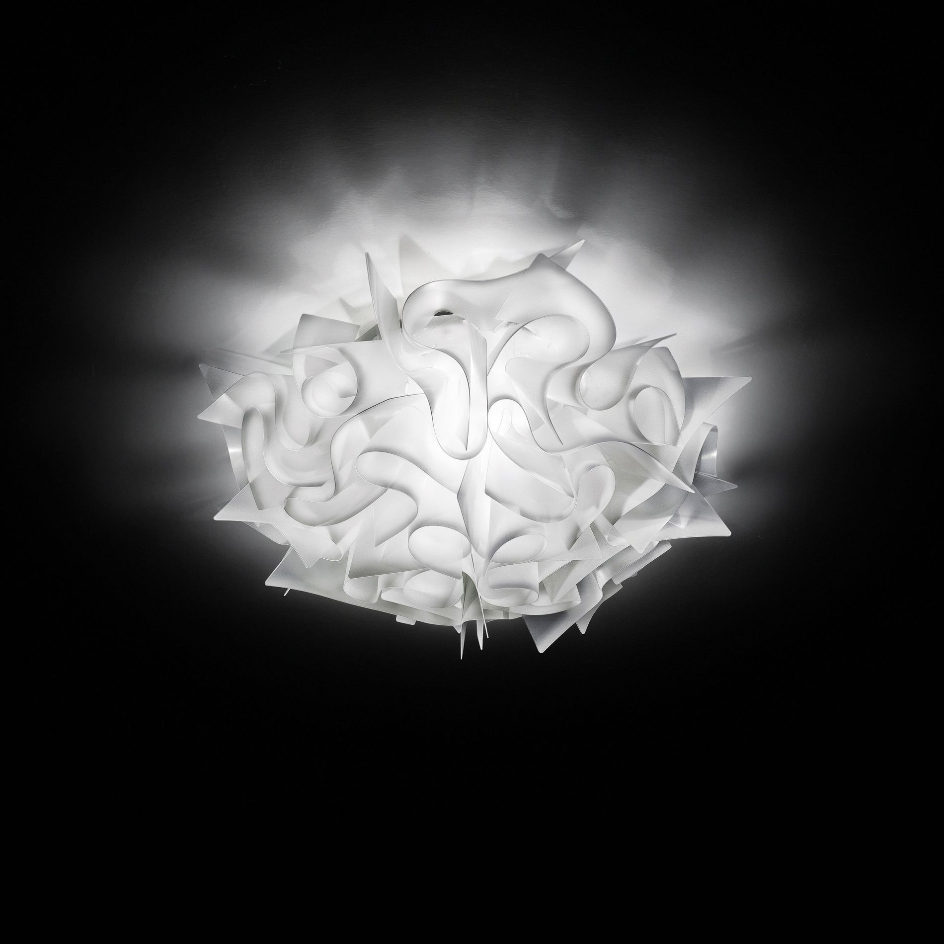 APPLIQUE VELI S – Image 2