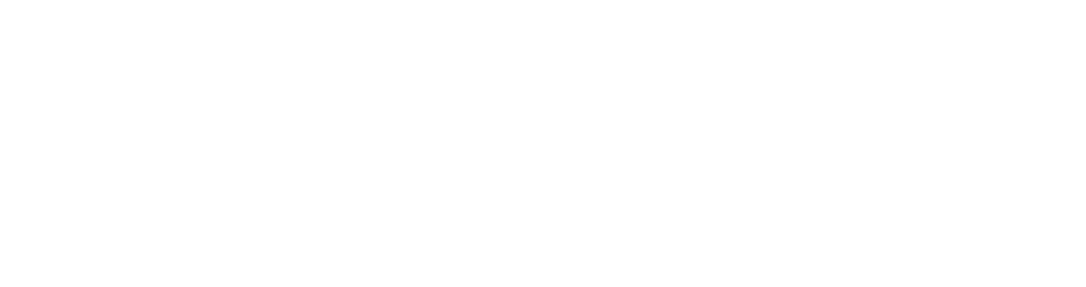 AI | Software | Database | IT Consulting & Support