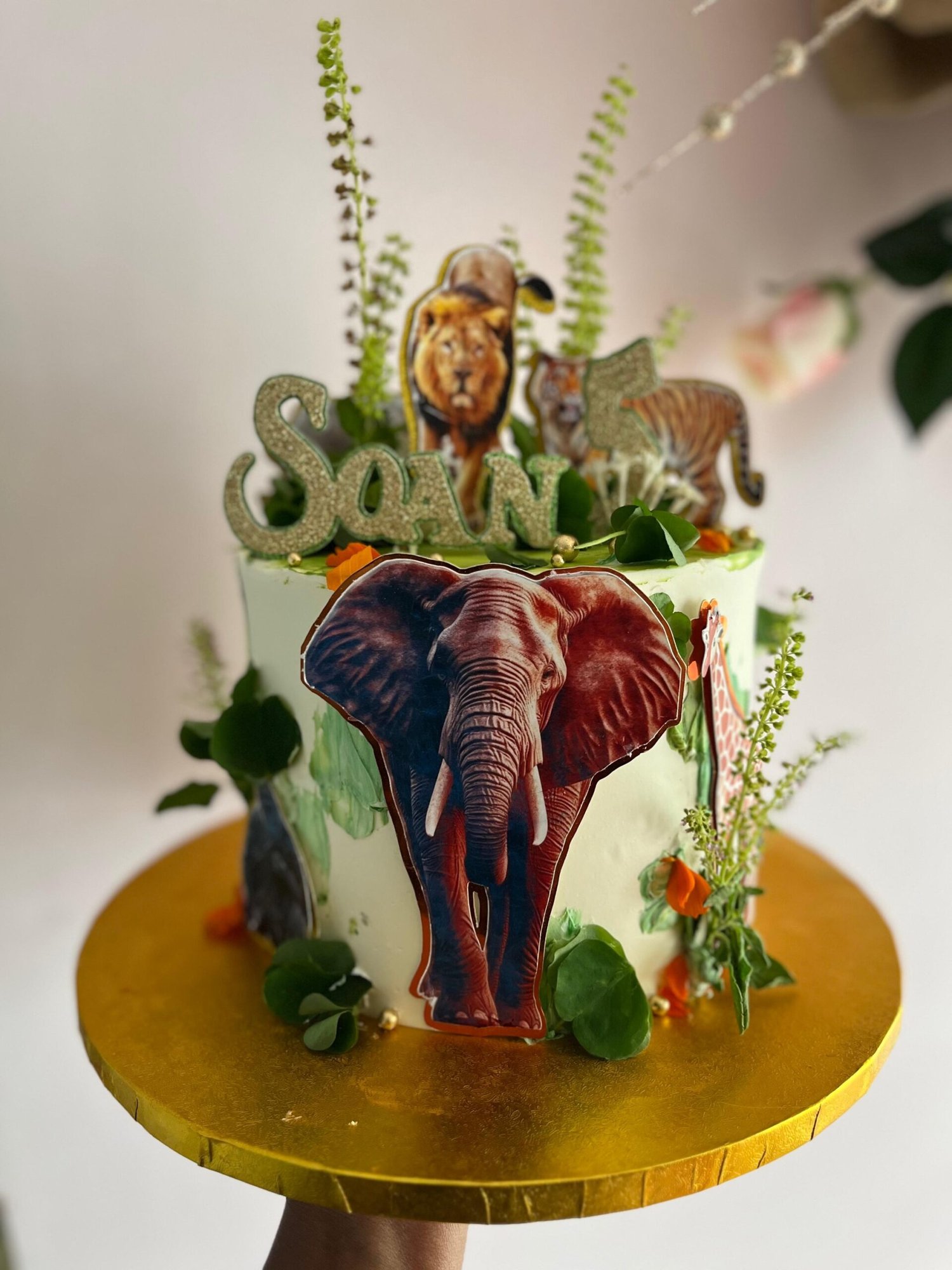 8cc57e90-2c63-455b-8e0a-9f7b1e329228