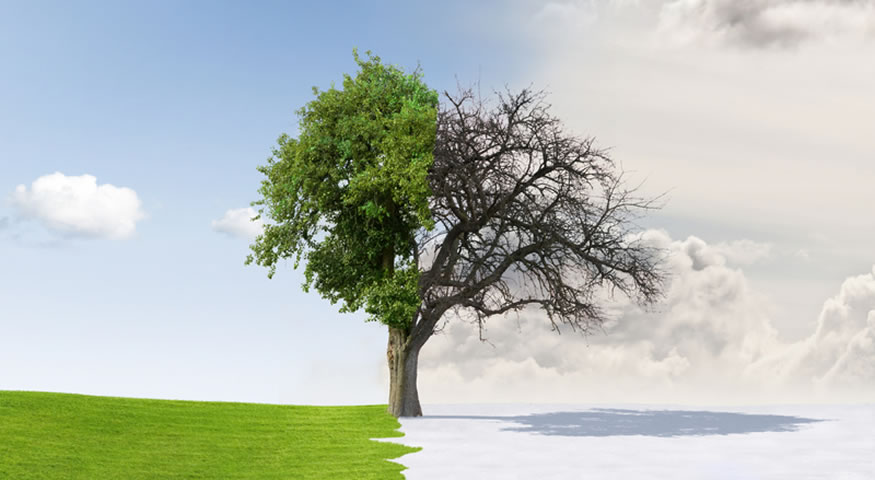 All Inclusive Wedding - choosing the Date