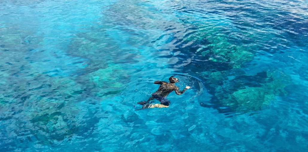 Barcelo Maya Colonial - one of our best all inclusive resorts for snorkeling