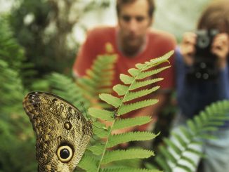 All Inclusive Eco Tourism